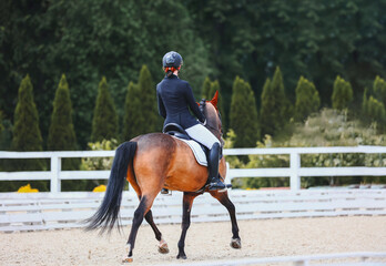 Influence with body, legs and hands of the rider on the horse. Horse when does the volt. Shooting...
