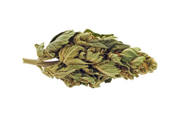 High-Quality PNG Cannabis bud isolated on white Background &ndash; High Resolution