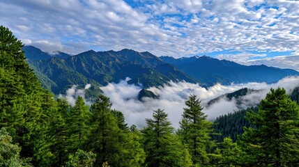 Scenic Mountain View with Clouds and Lush Forests