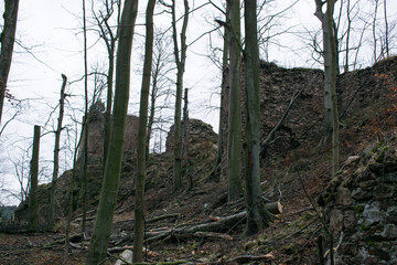 A winter scene of Oheb Castle above the Seč Reservoir.