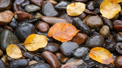 Obraz premium Beautiful autumn leaves resting on smooth pebbles by a tranquil stream a serene nature scene capturing the essence of fall's splendor