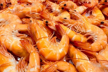 Cooked shrimp, which should be steamed or boiled. Ready-to-eat food, as can be identified by the bright orange shell and shiny appearance. The shrimp are arranged closely together.