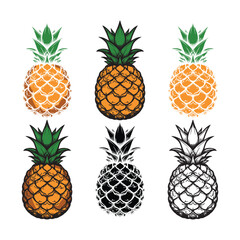 A set of Pineapple vector illustration.