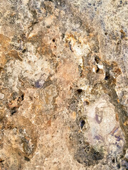 Coastal rocks and sea water as a natural background.