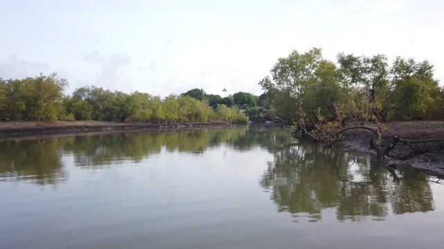 KEN_Kongo_River_Kenia_Ukunda_DianiBeach_Mangroves_Boattrip_2022_003_4K_25sec.mp4