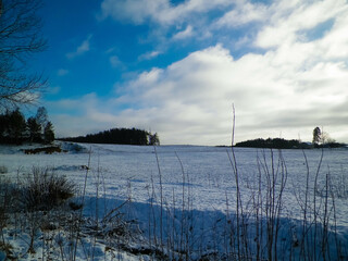 Winter. Snow on meadows of Kashubian region of northern Poland.