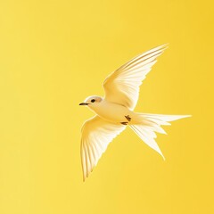 Fototapeta premium A bird flying across the top soft pastel yellow