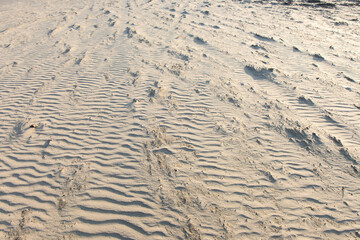 Golden hour sunlight casts shadows on rippled sand patterns, creating a mesmerizing natural texture perfect for backgrounds and nature-themed projects.