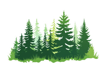 Obraz premium Illustrated evergreen forest with lush pine trees and vibrant greenery, capturing the essence of nature and tranquility.