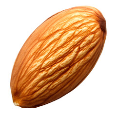Almond nut isolated on transparent background, PNG