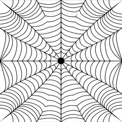 Seamless spider web. Connected black lines on white background