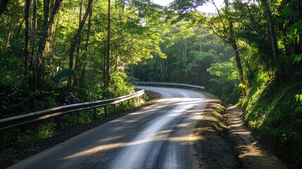 Obraz premium A paved road with a metal guardrail on one side, curving through a dense forest with sunlight filtering through the trees