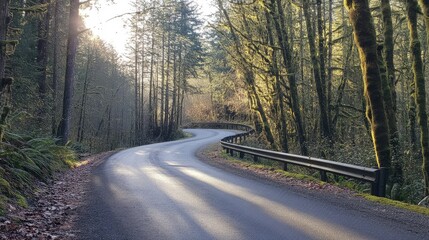 Obraz premium A paved road with a metal guardrail on one side, curving through a dense forest with sunlight filtering through the trees