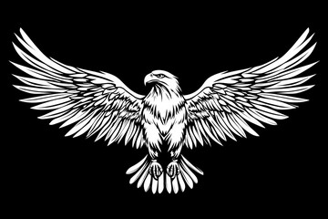 Fototapeta premium illustration of an eagle with spread wings, bold lines, soaring in the sky flying, logo, artwork 