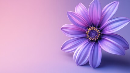 Obraz premium Close-up of purple flower with soft gradient background