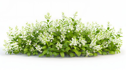 Obraz premium 3D Spirea bush