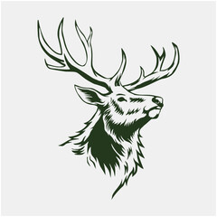 Deer Illustrator