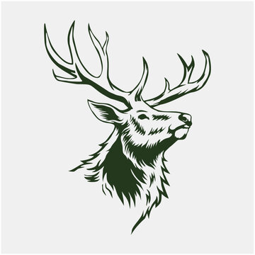 Deer Illustrator