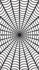 Fototapeta premium Seamless spider web. Connected black lines on white background