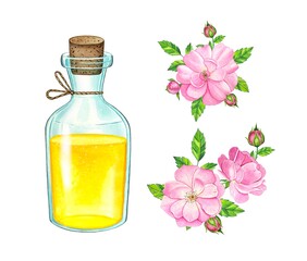 Pink rose flower and essential oil. Spa and aromatherapy. Watercolor hand drawn illustration