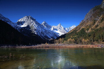 Naklejka premium Perfect autumn and snowy mountains in Bipenggou, Sichuan, China