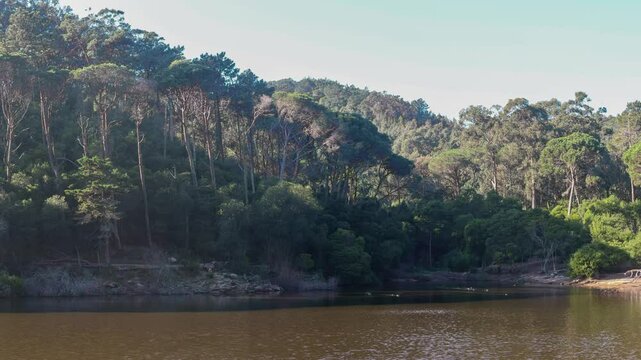 Calm waters reflecting the lush green forest surrounding rio da mula dam in sintra, portugal