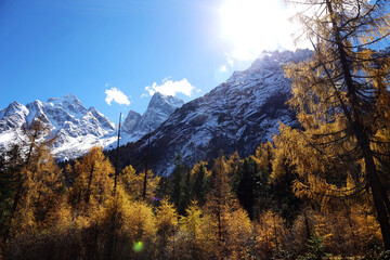 Perfect autumn and snowy mountains in Bipenggou, Sichuan, China