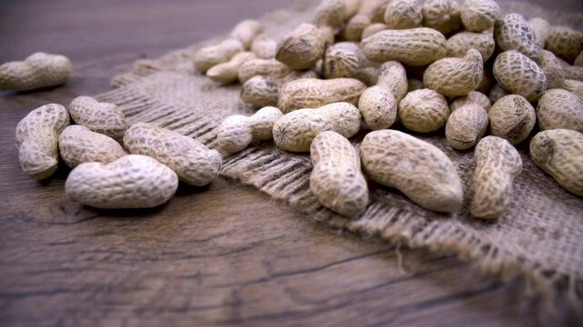 Arachis hypogaea: Close up. Natural peanuts in the husk on burlap: rough surface, detailed texture, natural pattern