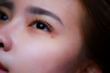 Obraz premium Eyelash extension