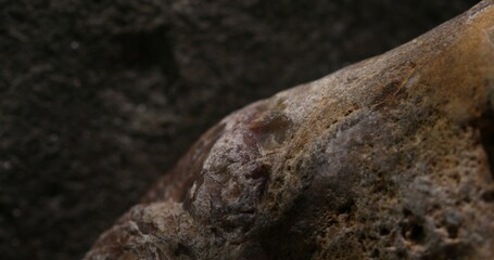 Textured Stone Surface with Natural Shadows