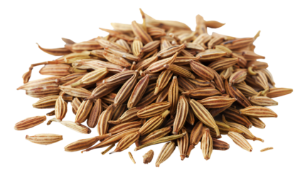 Cumin Seeds isolated on transparent background, PNG