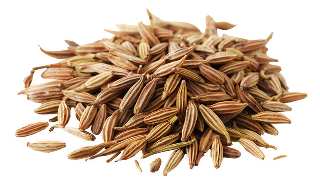 Cumin Seeds isolated on transparent background, PNG
