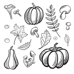 Autumn sketches set. Pumpkins with mushrooms and leaves. Vector graphic line illustrations, hand drawn isolated. Black and white doodle of fall nature concept. Clipart for postcard, sticker, wrapping.