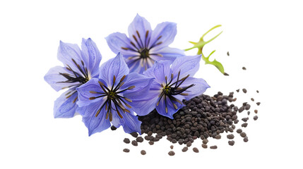 Nigella Seeds isolated on transparent background, PNG
