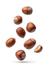 Fototapeta premium Floating pieces of roasted chestnuts, isolated on white background