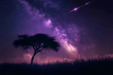 Fototapete Rund A stunning photograph of the African savannah at night, with stars twinkling in the sky and an acacia tree silhouetted against it. A shooting star streaks across the scene © 수동 김