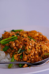 Curry and rice