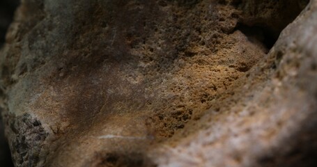 Textured Stone Surface with Natural Shadows