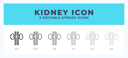 Kidney icon vector for web. And mobile app. Editable stroke outline icon.