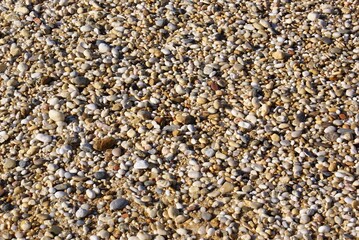 Small pebbles by the sea - texture