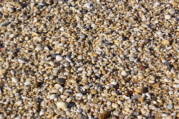 Small pebbles by the sea - texture