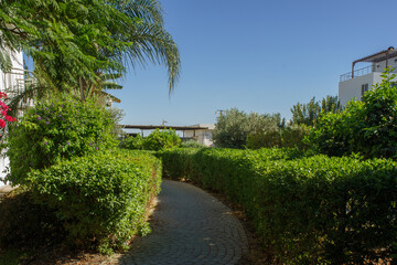 Lush garden pathway winding through vibrant greenery on a sunny day in a tranquil setting.