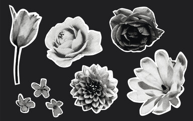 Collage flowers halftone effect, photocopy grunge texture magazine cut outs at black background. Different floral elements, rose and tulip, dahlia, magnolia blossom.