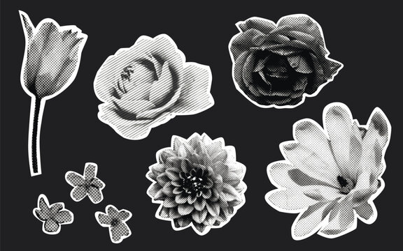 Collage flowers halftone effect, photocopy grunge texture magazine cut outs at black background. Different floral elements, rose and tulip, dahlia, magnolia blossom.