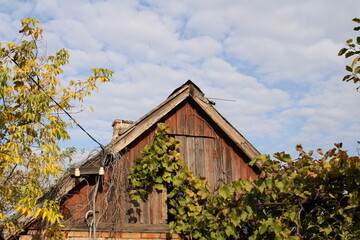 An old house overgrown with plants gives a sense of neglect while showcasing the beauty of nature reclaiming its place in the urban environment.

