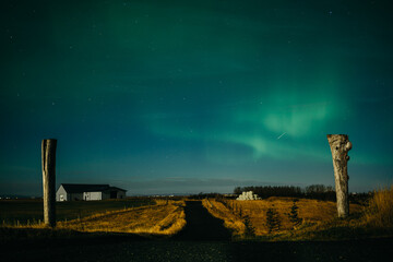Dancing aurora borealis above Icelanding farm on the night sky