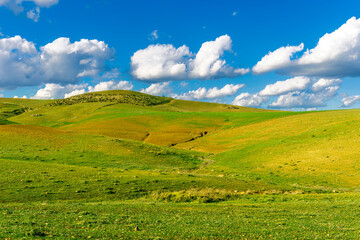 panoramic farmland landscape with green spring field , salad and yellow hills, garden and grassland and beautiful cloudy sky.