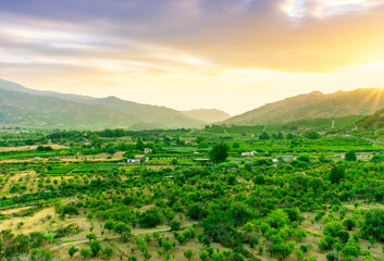 sunset valley landscape with green trees and gardens among beautiful mountains with colorful cloudy sky on background