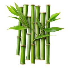Obraz premium Bamboo stalks with leaves, arranged on transparent background.