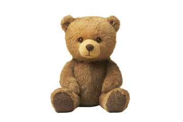 Obraz premium brown teddy bear